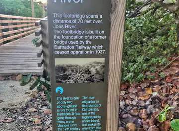 Joes River