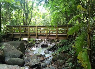 puerto-rico/yunque-national-forest/landmark/vereda-angelito