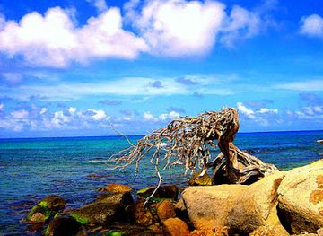 aruba/sero-blanco/landmark/antilla-shipwreck