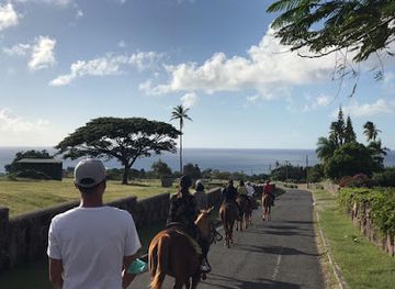 saint-kitts-and-nevis/nevis-peak/landmark/nevis-equestrian-centre