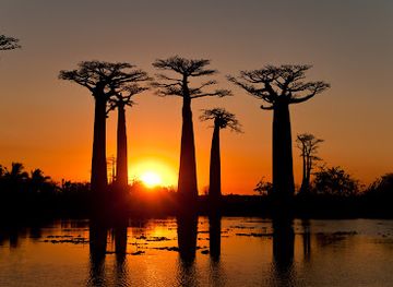 madagascar/sava/landmark/office-national-du-tourisme-de-madagascar