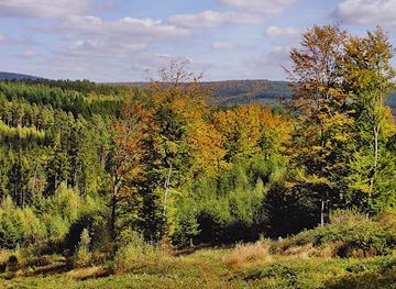 germany/spessart/landmark/spessart-gresselwald