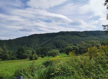poland/bieszczady-mountains/landmark/reserve-sine-wiry