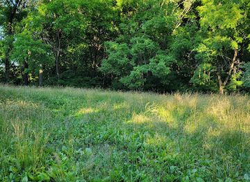 illinois/metro-east/landmark/sleeth-archeological-site