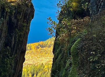 norway/viken/landmark/morkgonga-naturreservat