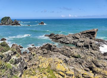 new-zealand/west-coast/landmark/west-coast-scenic-taste-tour