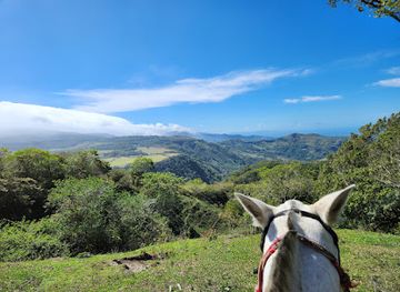 costa-rica/monteverde/landmark/horse-trek-monteverde-costa-rica