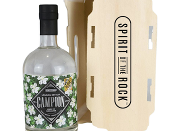 gibraltar/queensway-quay-marina/landmark/spirit-of-the-rock