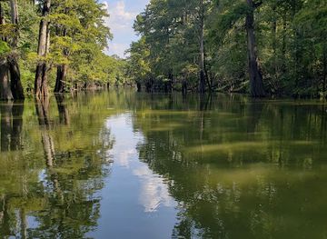 mississippi/the-delta/landmark/delta-national-forest