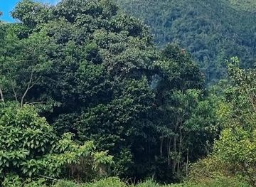 dominica/soufriere-bay/landmark/spanny-falls