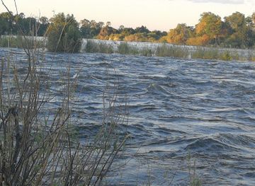 zambia/victoria-falls/landmark/the-big-tree-victoria-falls
