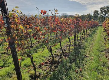 belgium/entre-sambre-et-meuse/landmark/domaine-du-ry-d-argent