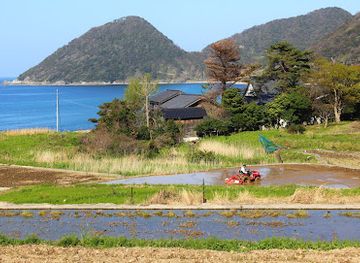 japan/tango/landmark/sodeshi-rice-terraces