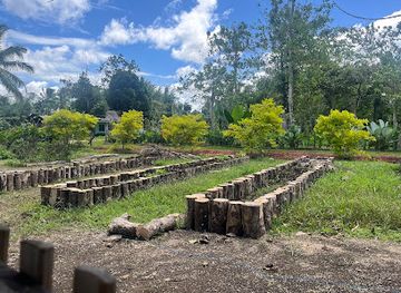 philippines/bohol/landmark/bohol-chocolate-farm