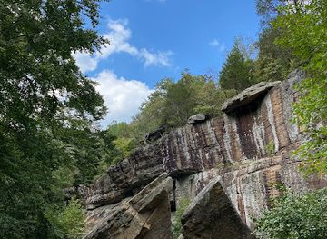 illinois/illinois-ozarks/landmark/devil-s-backbone