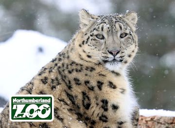 united-kingdom/northumberland-coast/attraction/northumberland-zoo-2