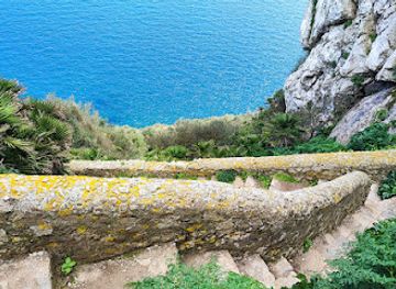 gibraltar/upper-rock-nature-reserve/landmark/mediterranean-steps