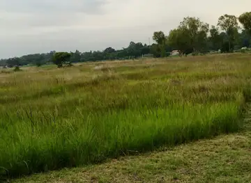 Monavale Vlei