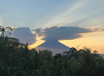 nicaragua/ometepe-island/landmark/zapote-ometepe