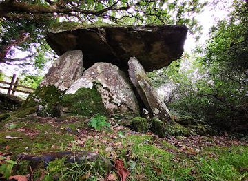 ireland/county-waterford/landmark/gaulstown-dolmen