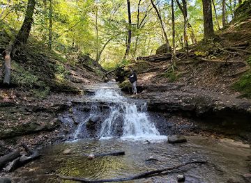 wisconsin/driftless-area/landmark/parfrey-s-glen-state-natural-area
