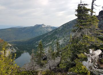 idaho/panhandle/landmark/kaniksu-national-forest