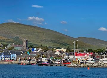 ireland/dingle/landmark/dingle-marina-breakwater
