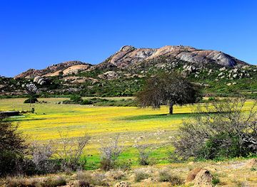 south-africa/namaqualand/landmark/namaqua-national-park