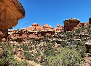 utah/canyonlands/landmark/elephant-hill-trailhead