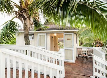 cook-islands/arorangi/landmark/the-cooks-oasis