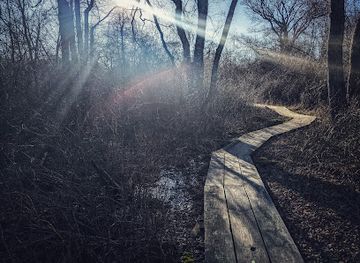 rhode-island/narragansett/landmark/whale-rock