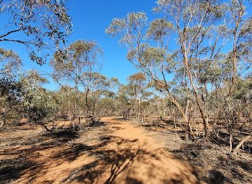 australia/mallee/landmark/mallee-stop-walking-track