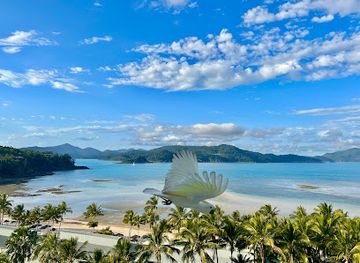 australia/the-whitsundays/landmark/catseye-beach