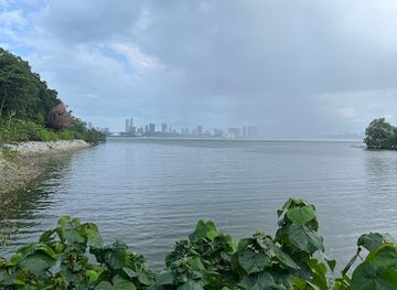 singapore/sungei-buloh-wetland-reserve/landmark/little-heron-deck