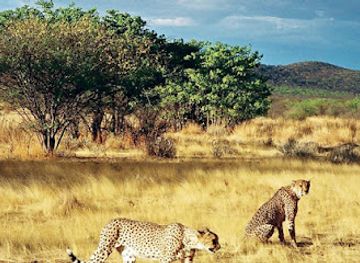 cameroon/bouba-njida-national-park/landmark/al-dinder-national-park