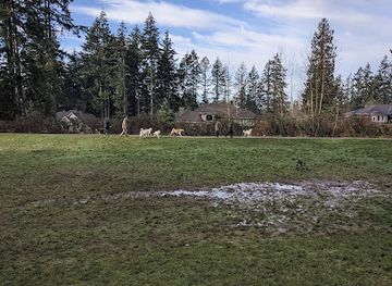 washington/federal-way/landmark/french-lake-off-leash-dog-park