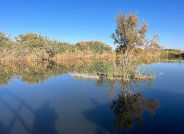 jordan/ajloun-forest-reserve/landmark/azraq-wetlands-reserve