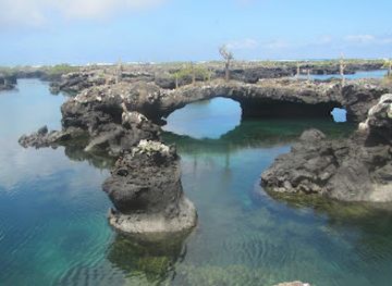 ecuador/galapagos-islands/landmark/galapagos-native-tour-operator