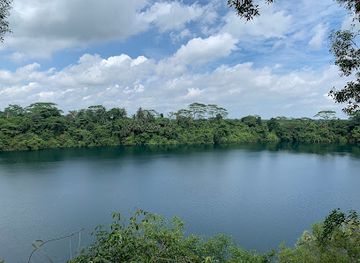 singapore/east-region/landmark/chek-jawa-wetlands