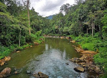 sri-lanka/dry-zone/landmark/sinharaja-forest-reserve