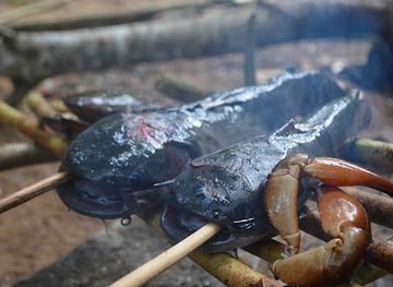 guyana/lethem/landmark/untamed-adventures