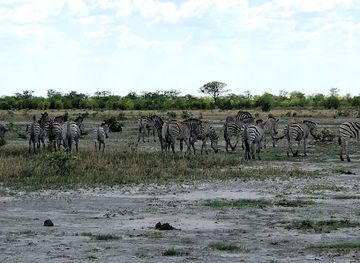 botswana/linyanti-wildlife-reserve/landmark/savuti-canal