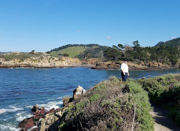 california/carmel-by-the-sea/landmark/mission-trail-park
