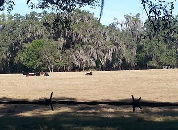 florida/gold-coast/landmark/dudley-farm-historic-state-park