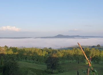 thailand/phetchabun-mountains/landmark/khao-takhian-ngo-monastery