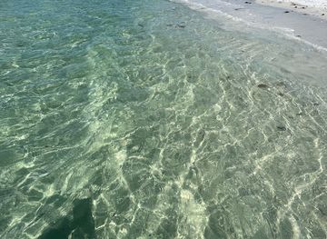 florida/honeymoon-island-state-park/landmark/honeymoon-island-state-park-pet-beach