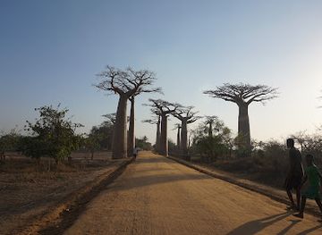 madagascar/diana/landmark/tsiky-tour-madagascar