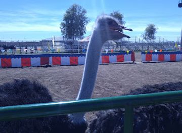 arizona/chandler/landmark/tumbleweed-ranch