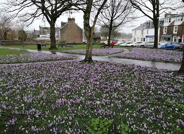 united-kingdom/kirkcudbrightshire/landmark/soaperie-gardens