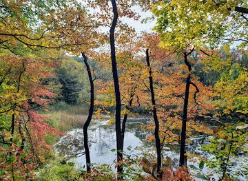 ohio/cuyahoga-valley-national-park/landmark/virginia-kendall-area